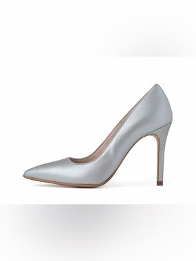 Antonia Saint Silver Pointy Toe Heels (The Vida Classic High Heel)